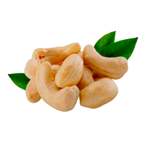 Raw Cashews and Kernels Raw Cashews and Kernels
