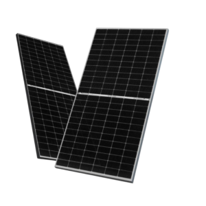 Bifacial Bifacial